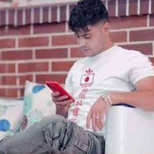 امیر حافظ رنجبر  ولنتاین 